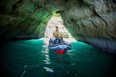 Benagil-grotten en dolfijnen spotten vanuit Albufeira